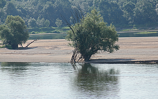 Loire-Sandbank