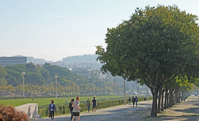 Den stora Avenida da Liberdade som är 1,1 km lång och 90 meter bred börjar med en grön lunga högt uppe på en kulle.