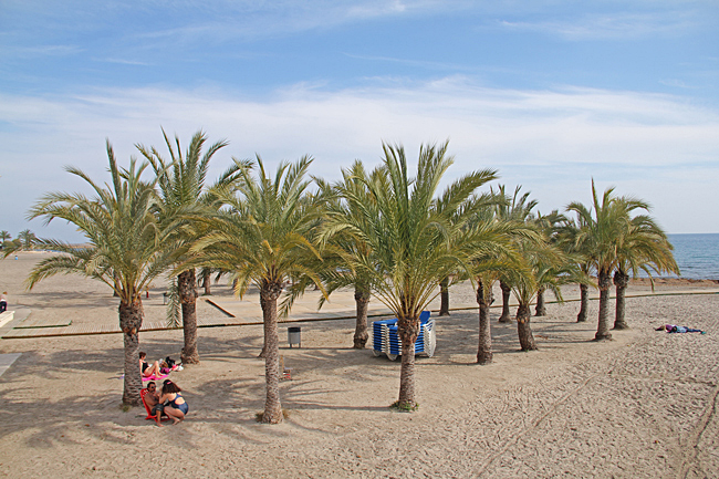 En skuggande palmdunge mitt på stranden.