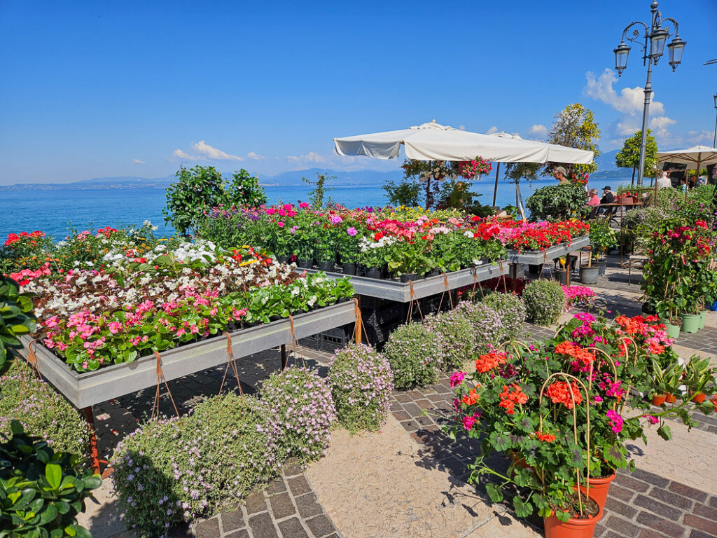 Blomstermarknad på strandpromenaden vid Gardasjön.