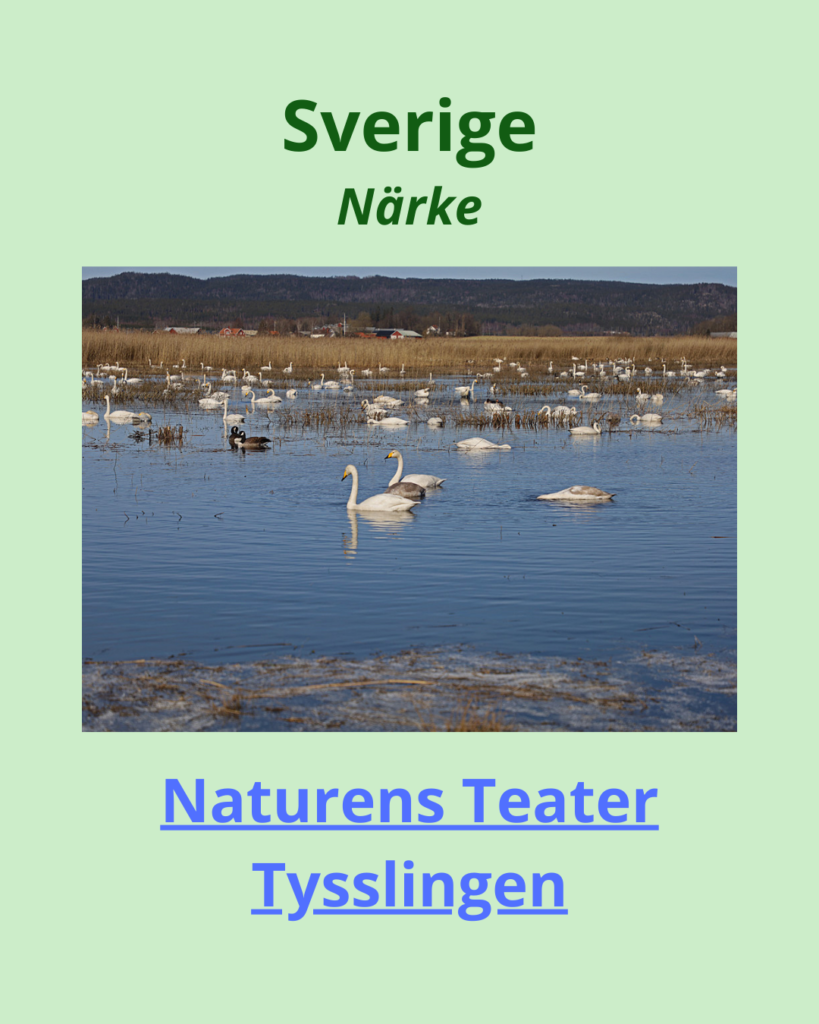 Naturens teater Tysslingen Örebro
