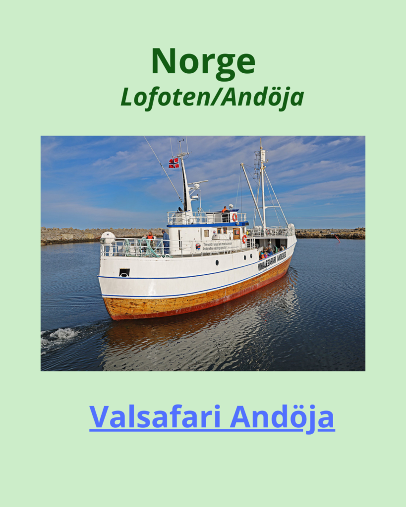Resetips – Europa & Sverige. Valsafari Andöja.
